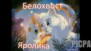 "Коты-Воители". Грозовое племя. Пары.