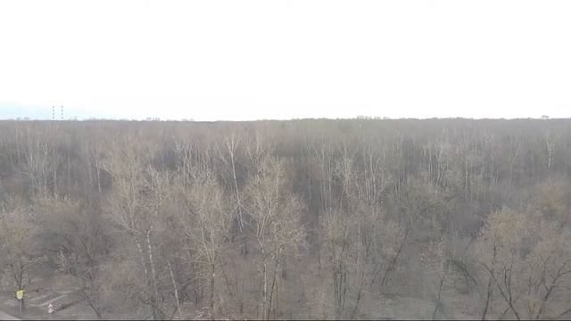 ?Лесопарк Лосиный остров, Москва/Горски парк Лосове остров/Forest Park Elk Island, Moscow  #стрим