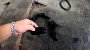 Губка вместо катализатора