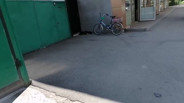 Вышла за хлебом и ... новая беда!!! смотреть онлайн