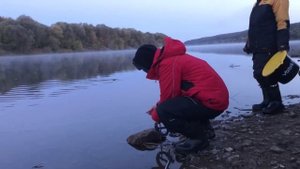 ДОНКИ на ОКЕ НОЧЬЮ / НАЛИМ ЛЮБИТ ЭТУ НАСАДКУ / ПЕРВЫЕ МОРОЗЫ