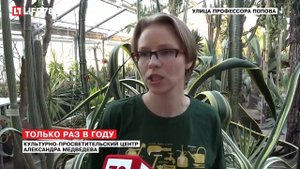 В Ботаническом саду этой ночью расцвел кактус "Царица ночи"