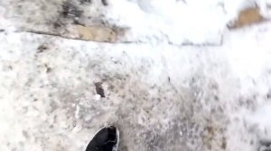 Дверь для собаки в будку.