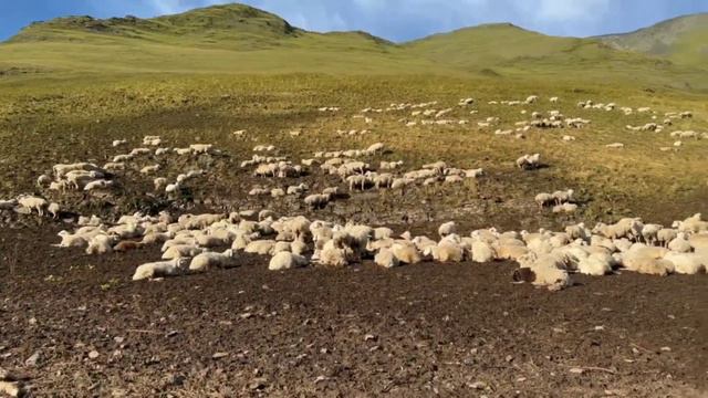 Путешествие в Дагестан. Самые красивые места Дагестана .Journey to Dagestan .