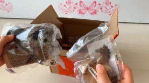 Распаковка большой посылки с фигурками и наборами Шляйх (Schleich)