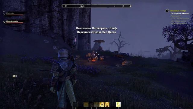 ИССЛЕДУЕМ МОРРОВИНД! The Elder Scrolls: Online #2