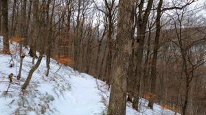 Зимний день| Вязание|ЖИЗНЬ В ГЛУБИНКЕ | Вяжу шали|  Путешествие|  Горы|Птицы|