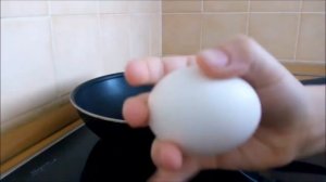 PING-PONG-EGG