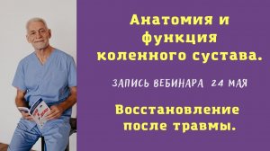 Запись вебинара от 24 мая. Анатомия и функция коленного сустава. Восстановление после травмы.