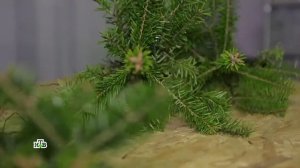 Ароматизатор для искусственной елки