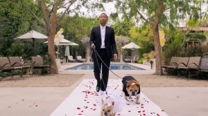 John Legend - All of Me - Dog Wedding Music Video // Omaze