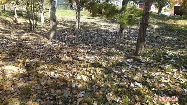 ???? Жетысу Парк Астана Autumn 2021|vlogdefacto?? смотреть онлайн