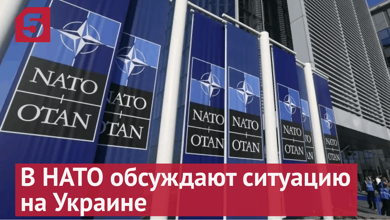Шольц подтвердил отказ НАТО быть стороной конфликта на Украине