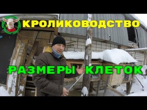 Кролиководство и размеры клеток - краткий обзор