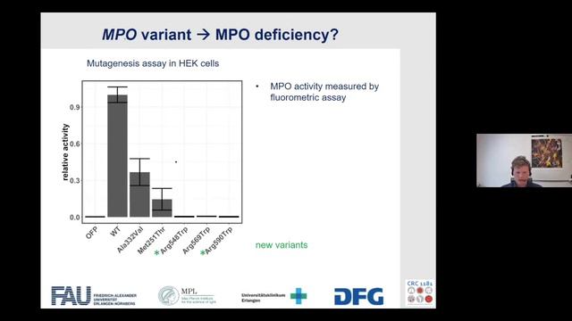 Freshly Baked (Episode 11: Phillipp Starkl, Stefan Haskamp, Francesca Capon) смотреть онлайн
