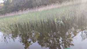 Рыбалка на спиннинг. ТРОЛЛИНГ Вуокса ЧАСТЬ2 #БАЗАОТДЫХАЗЕЛЁНЫЙМЫС