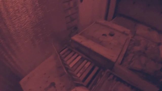 Как зимуют пчёлы в зимовнике. Мышиные гнездо в улье. Осмотр пчелиных семей. смотреть онлайн