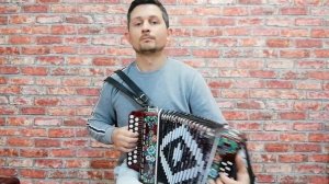Шуйская гармонь Чайка уменьшенная (походная). Ля, Фа, Ре мажор. Какую гармонь выбрать?Купить гармон