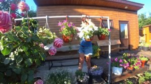 О моих цветах. Подкормка для цветов в горшках.