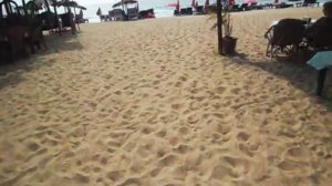 Отель Сонеста Инн территория, пляж. Гоа