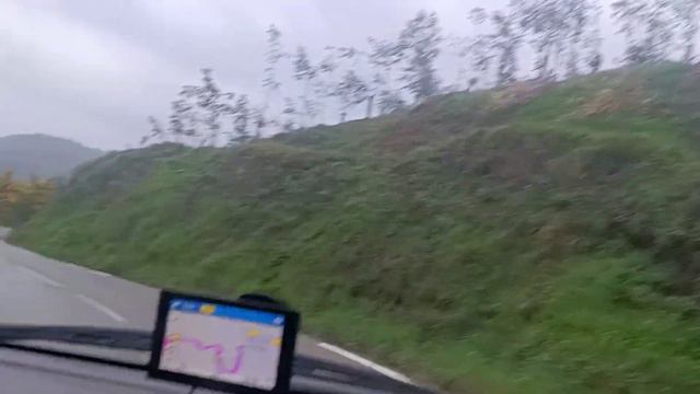 #Орхидеи🌸 в магазине Gamm vert г.Pégomas🌸🤗Мимозное путешествие продолжается!✨✌️ смотреть онлайн