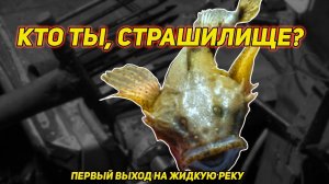 ПЕРВЫЙ ВЫХОД НА ЖИДКУЮ РЕКУ. ЛУЧИМ РЫБУ ФОНАРЕМ. КТО ТЫ, СТРАШИЛИЩЕ?