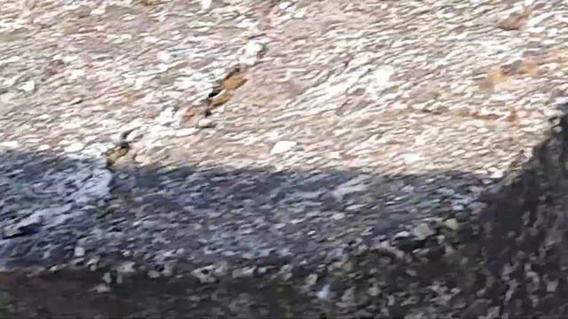 Канавы/каналы одна суть вещей или почему ,когда проблемы с буквой"л", слышится "в".Я не знаю а вы? смотреть онлайн