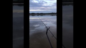 Рыбалка на Иртыше в Омске на фидер — июнь 2023 #OmskFish  [Мобильная рыбалка]