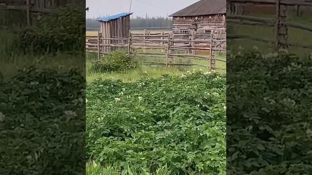 В якутском селе водитель грузовика случайно устроил для детворы фаер-шоу