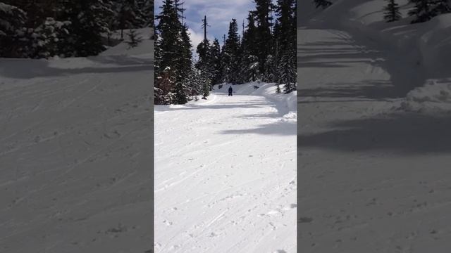 My kind of Sled ride смотреть онлайн