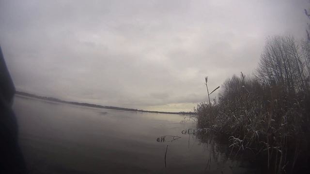 охота на утку,ноябрь 2016 смотреть онлайн