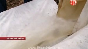 В селе Донское Задонского района зарыбили рек...