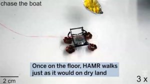 Микро-робот HAMR теперь ходит по воде и под водой