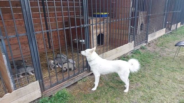 Злате шесть лет смотреть онлайн