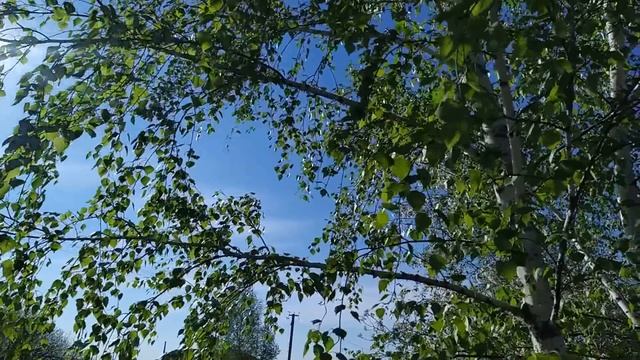 14 мая-ЕРЕМЕЕВ ДЕНЬ.Загадайте желание перед сном.Народные приметы