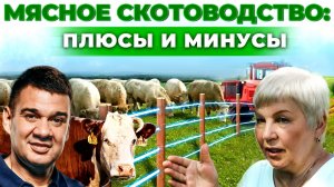 Ферма коров как бизнес | Секреты качественного мяса | Сколько приносит корова? Андрей Даниленко