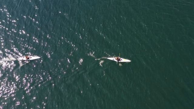 Никому нельзя доверять.mp4 смотреть онлайн