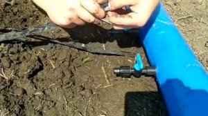 Монтаж кранов для капельного полива ???в мягкий шланг ( лайф лет )