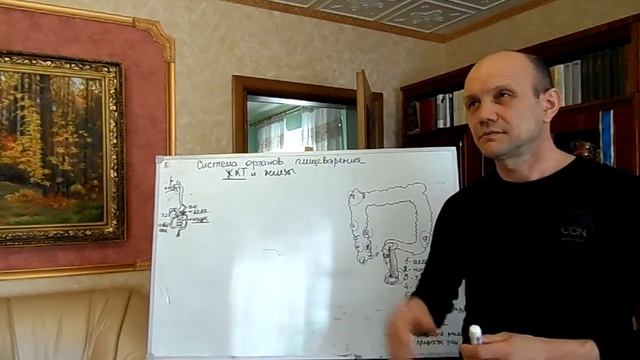 Бионет. Сало Анатолий и Надежда о пищеварительной системе, часть 3. смотреть онлайн