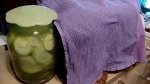 Квашеные кабачки, Ферментированные продукты. Ужасно вкусно. Советуем попробовать.