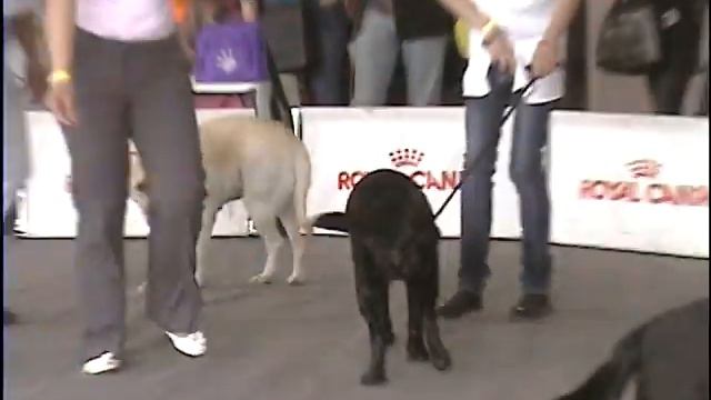 Выставка 19.05 2012 смотреть онлайн