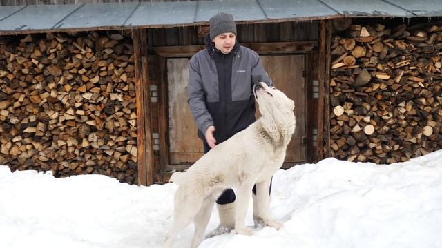 Купили убитый дом.  Утепляем изнутри. Шпаклюем стены