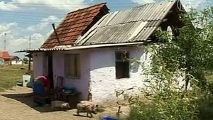 Избиение молодого цыгана осуждают его родные