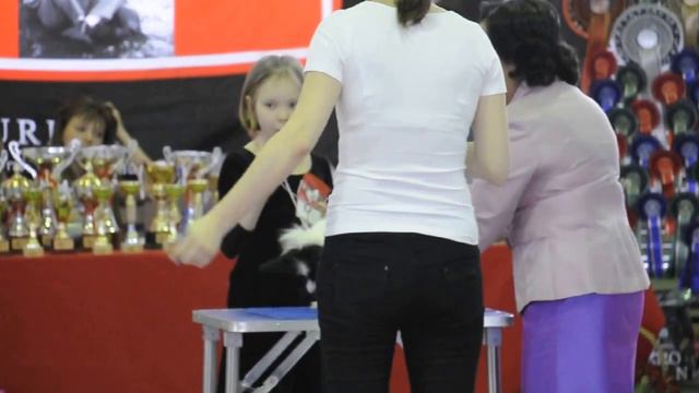 DSC_0885 смотреть онлайн