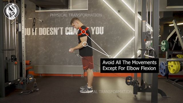 Facing Away Cable Bicep Curl  Сгибания предплечья в кроссовере унилатерально 