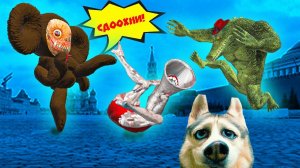 Демоны Гена и Чебурашка замочили Мать Мегафон!! Хаски Бандит вернул нам магию!