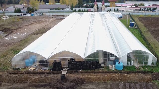 Многорядная теплица 100м х 38.4м х 4.7м от корпорации “ИМПОТЭК” смотреть онлайн
