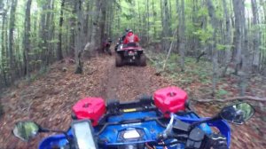 Iesire Valea Doftanei - Cf Moto - KingQuad - Linhai - Can-Am