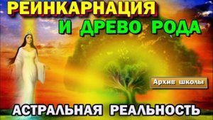 Реинкарнация и Древо Рода.