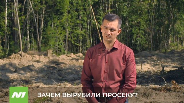 ЗАЧЕМ ВЫРУБИЛИ ПРОСЕКУ
